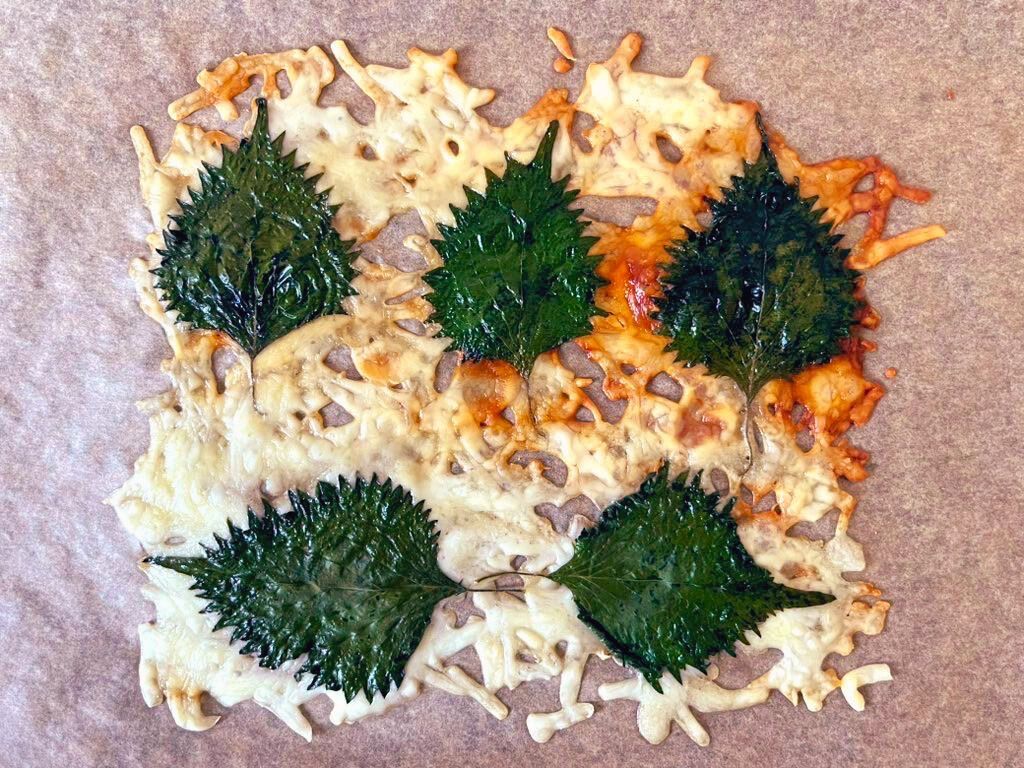 しなびた大葉が大活躍！電子レンジで「チーズと大葉のカリカリ」夏のおつまみの写真 5