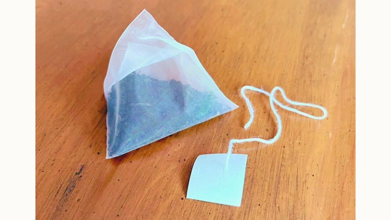 紅茶とサイダーで作る「ティーサイダー」の写真 3