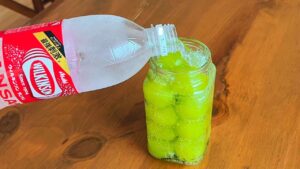 炭酸水に漬けるだけ。「炭酸マスカット」の作り方の写真 2