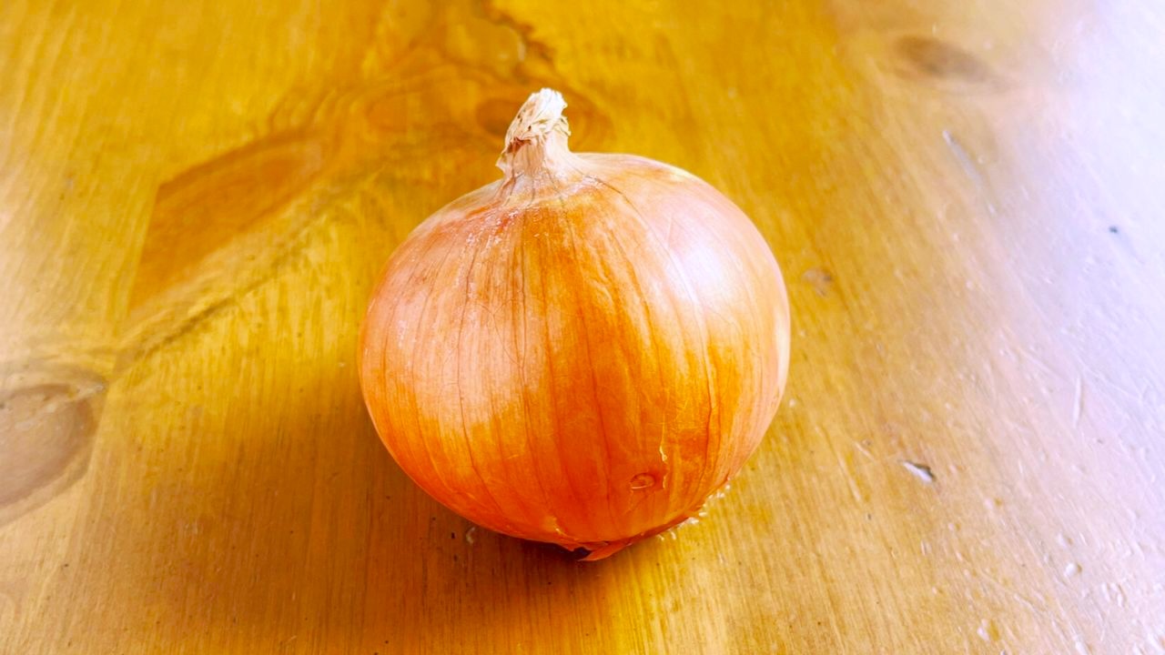 玉ねぎ
