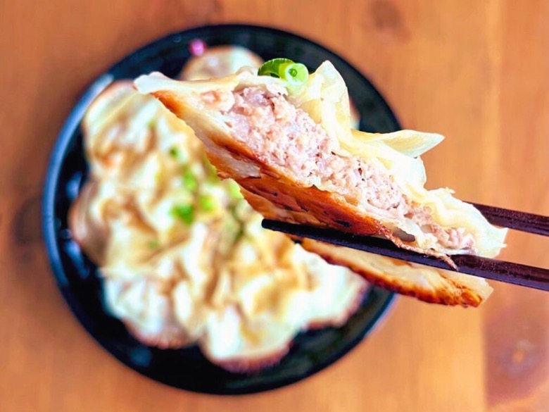 平たいギョーザを箸で持ち上げた断面