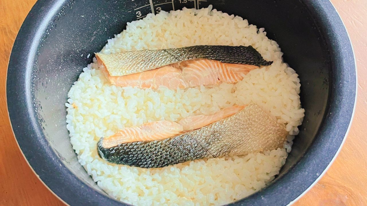 炊き上がった鮭とご飯
