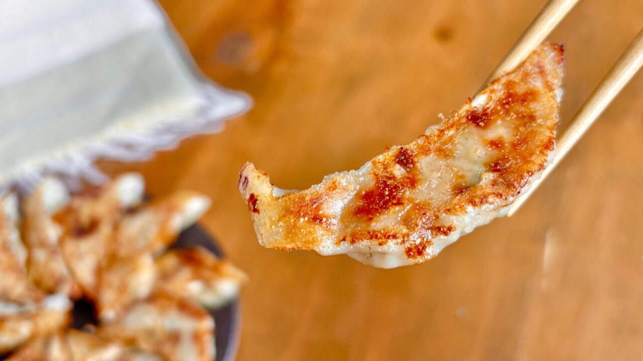 こんがり焼き上がった餃子を箸で持ち上げたところ