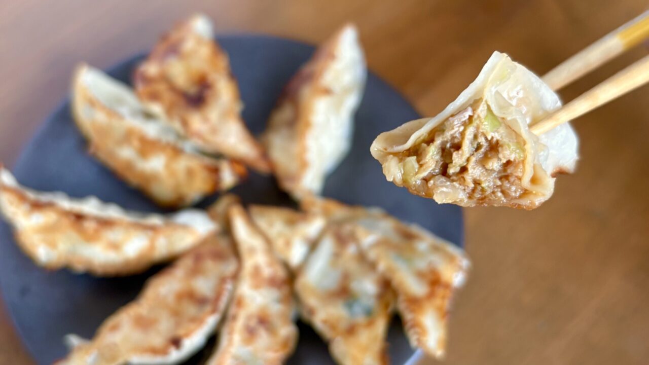 焼き上がった餃子の断面を箸で持ち上げたところ